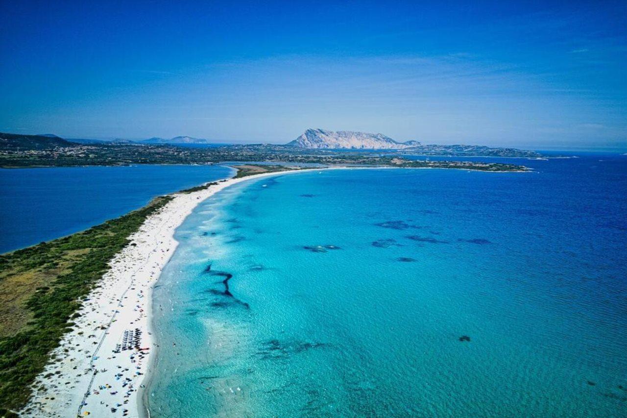 Hotel San Teodoro 4*